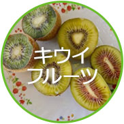 ブランド化推進品目「キウイフルーツ」