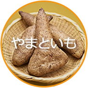 ブランド化推進品目「やまといも」