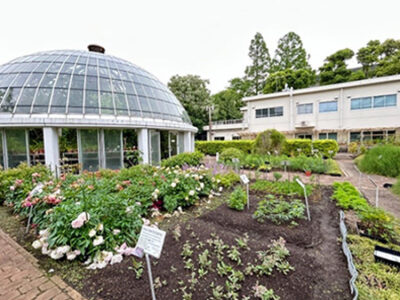【参加レポート】薬用植物シンポジウムに行ってきました！