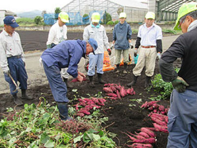 相模原の農業への関わり方