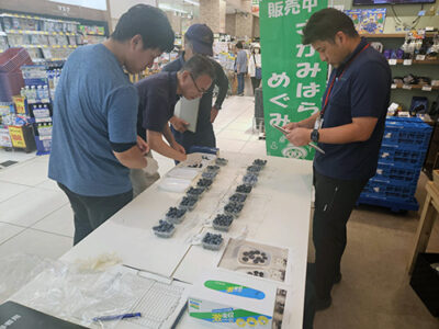 【ブルーベリー】PRイベント開催!&果実生産者が市長表敬訪問!