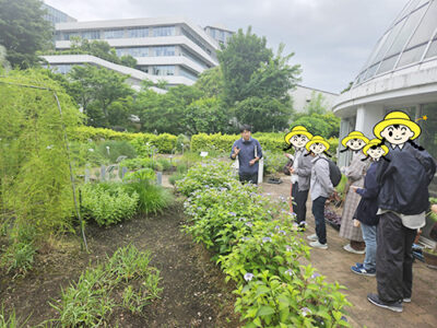【参加レポート】薬用植物栽培・加工体験講座に行ってきました！
